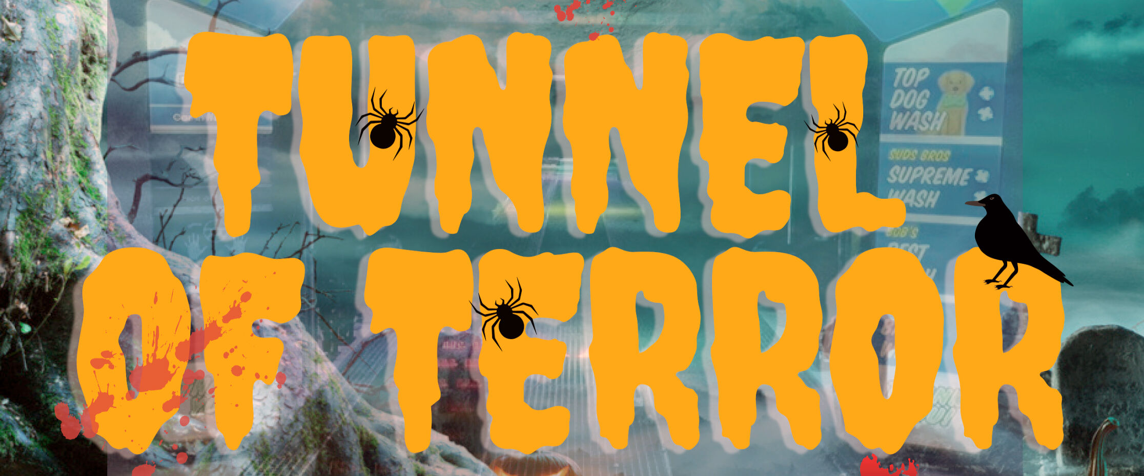 A sudsy Tunnel of Terror